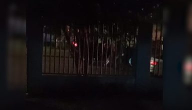 Imagem referente a Motorista envolvido em perseguição que terminou com morte de policial é preso; Veja o vídeo