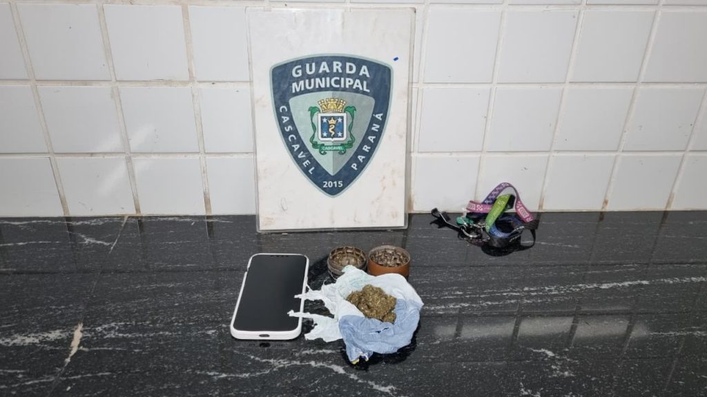 Adolescente é apreendido com entorpecentes após confusão em terminal de Cascavel