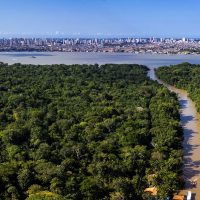 COP30 consolida novo patamar do turismo no Brasil, avalia Sabino Imagem referente a COP30 consolida novo patamar do turismo no Brasil, avalia Sabino