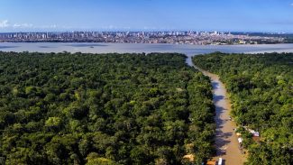 COP30 consolida novo patamar do turismo no Brasil, avalia Sabino COP30 consolida novo patamar do turismo no Brasil, avalia Sabino