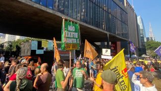 Organizações temem que Congresso derrube vetos do “PL da Devastação” Organizações temem que Congresso derrube vetos do “PL da Devastação”