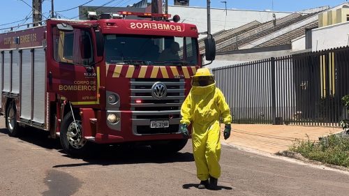 Bombeiros são acionados após ataque de abelhas em Cascavel Bombeiros são acionados após ataque de abelhas em Cascavel