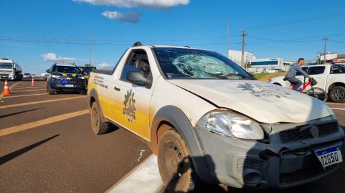 Jovem tem ferimentos graves ao ser atropelado na BR-277 próximo ao Guarujá