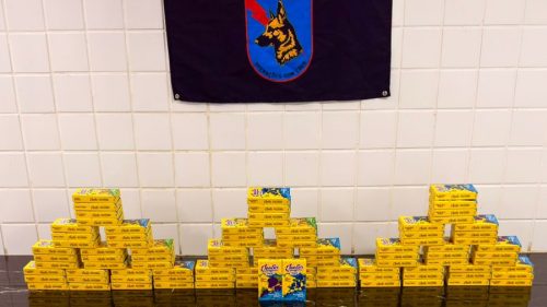 Equipe do Canil do BPRv prende homem com cigarros eletrônicos de THC em ônibus em Cascavel