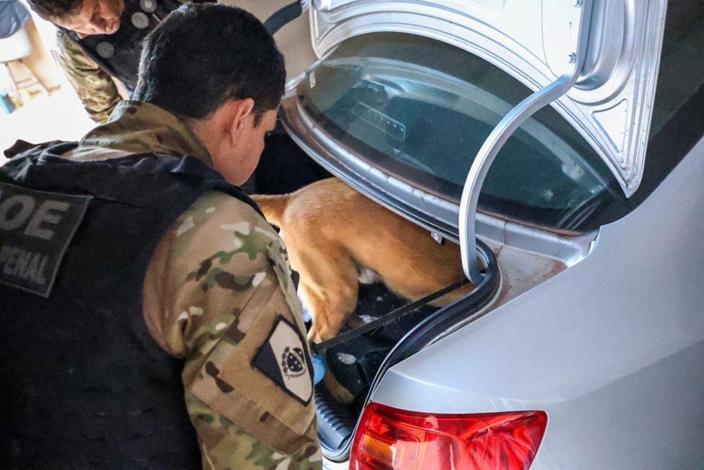 Mala cheia: polícia prende 25 e desmonta esquema milionário do tráfico