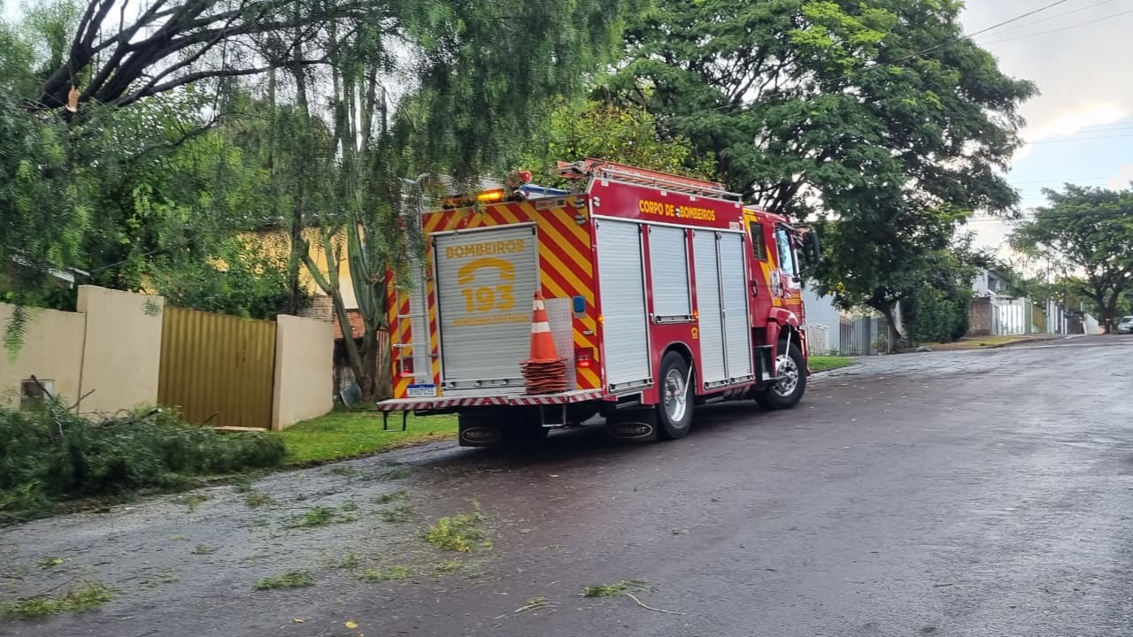 Bombeiros fazem corte e poda de árvore caída no bairro Neva Bombeiros fazem corte e poda de árvore caída no bairro Neva