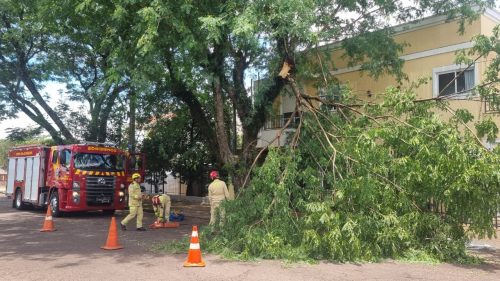 Bombeiros de Cascavel são chamados para cortar galhos de árvore que ameaçavam segurança de moradores no bairro Neva