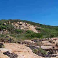 Geoparque Seridó é tema do Caminhos da Reportagem desta segunda Imagem referente a Geoparque Seridó é tema do Caminhos da Reportagem desta segunda