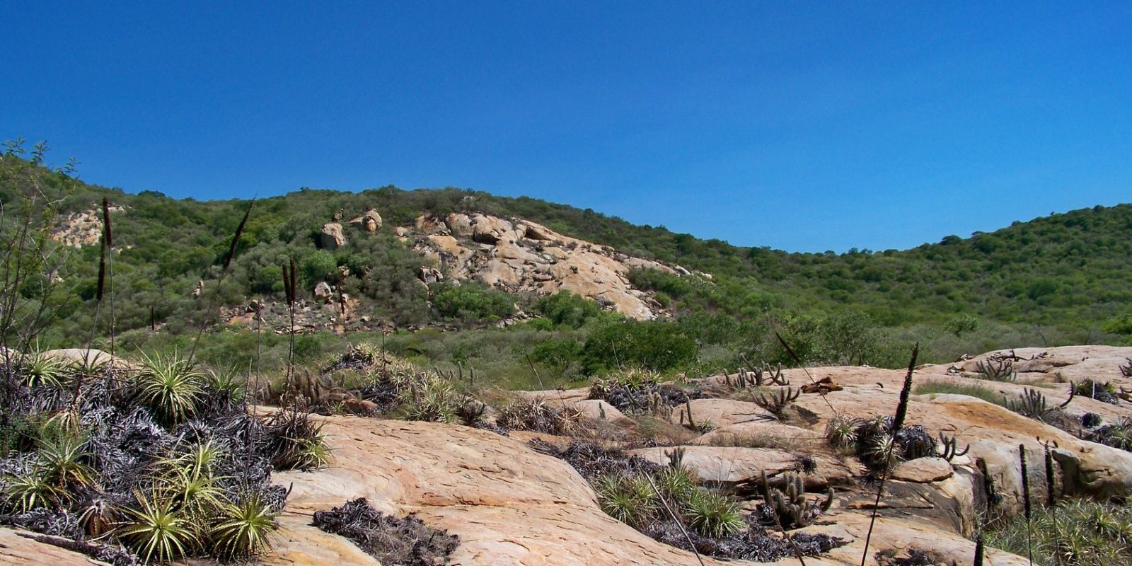 Geoparque Seridó é tema do Caminhos da Reportagem desta segunda Geoparque Seridó é tema do Caminhos da Reportagem desta segunda