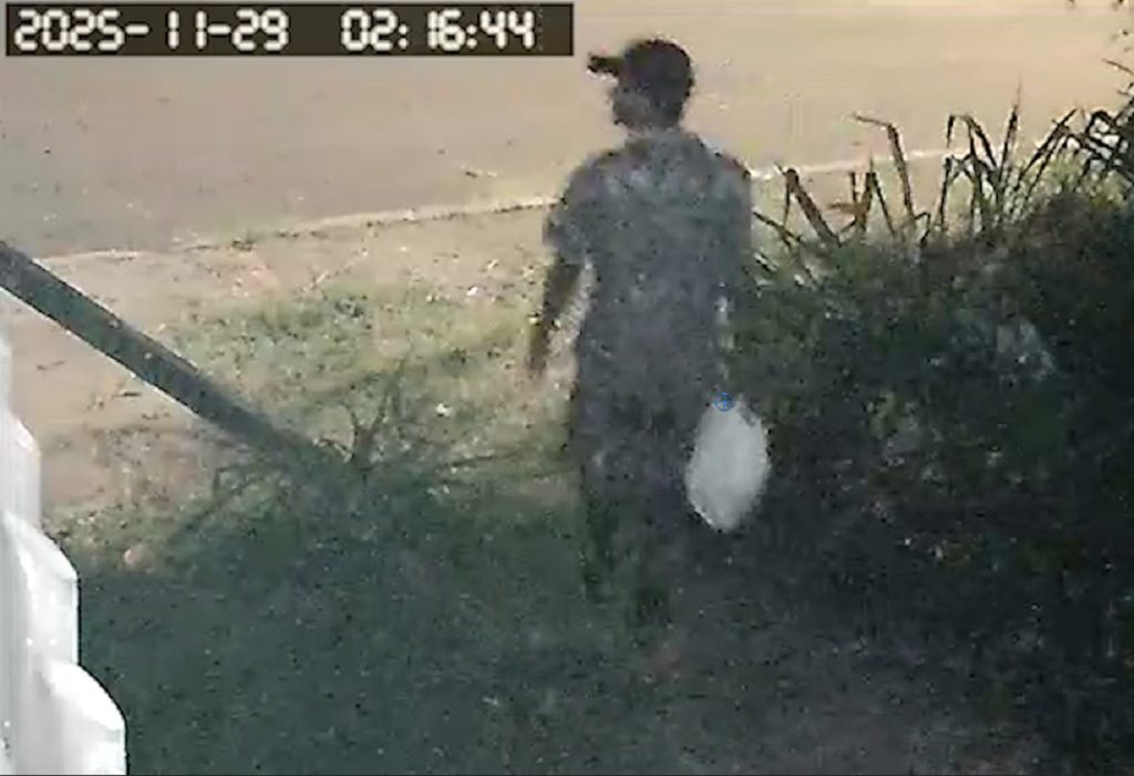 Polícia de Toledo divulga vídeo de suspeito de tentativa de latrocínio contra idosa de 76 anos