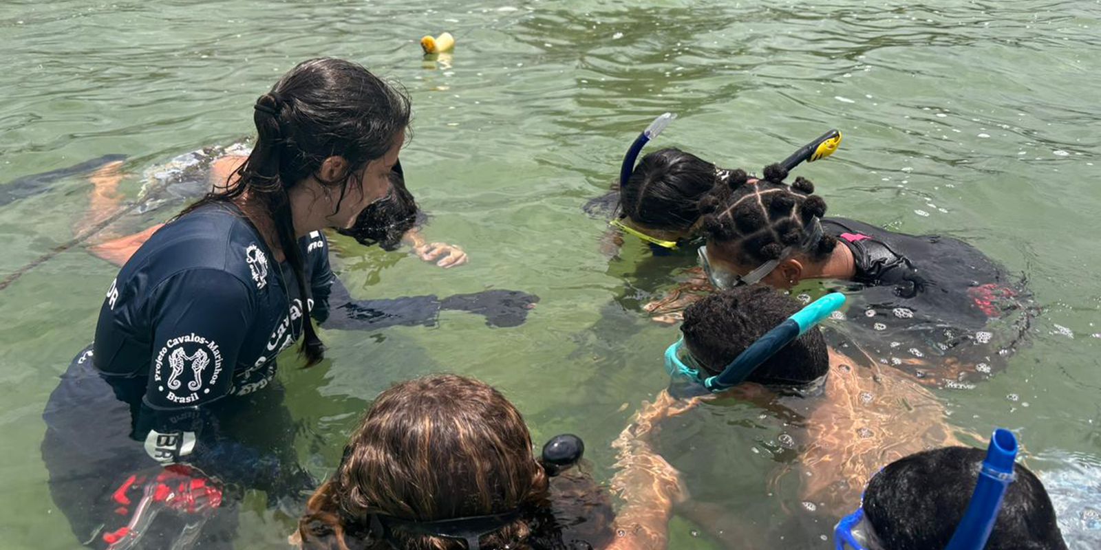 Projeto no Rio forma guardiões de cavalos-marinhos de 12 a 14 anos Projeto no Rio forma guardiões de cavalos-marinhos de 12 a 14 anos