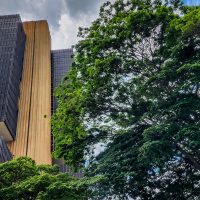 Imagem referente a Ferramenta do BC permite bloquear abertura de contas falsas em bancos