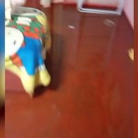 Imagem referente a Trabalhadora chega em casa e se depara com imóvel alagado no Jardim Melissa