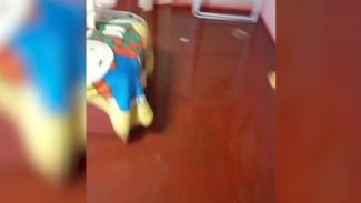 Trabalhadora chega em casa e se depara com imóvel alagado no Jardim Melissa Trabalhadora chega em casa e se depara com imóvel alagado no Jardim Melissa