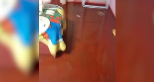 Trabalhadora chega em casa e se depara com imóvel alagado no Jardim Melissa Imagem referente a Trabalhadora chega em casa e se depara com imóvel alagado no Jardim Melissa