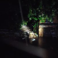 Imagem referente a Família fica ilhada e Bombeiros são acionados para resgate no Bairro Neva