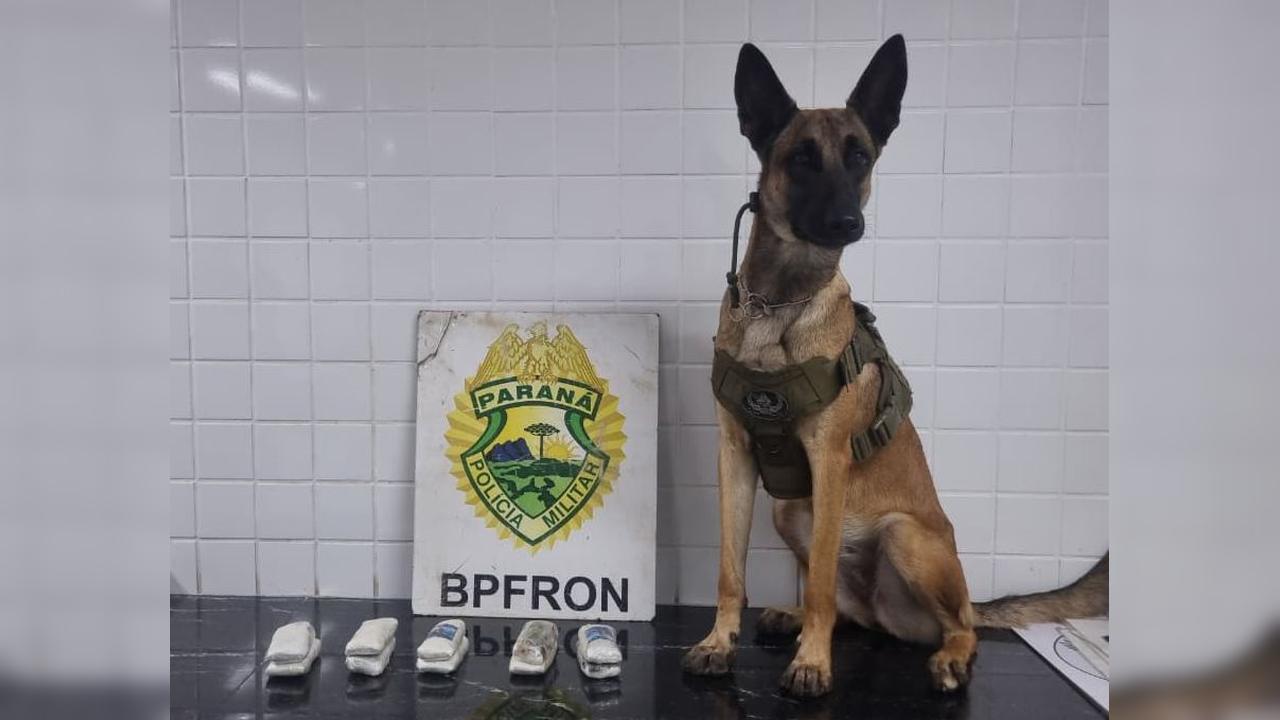Haxixe no banheiro e maconha na cintura: fiscalização pega drogas e cigarros em ônibus