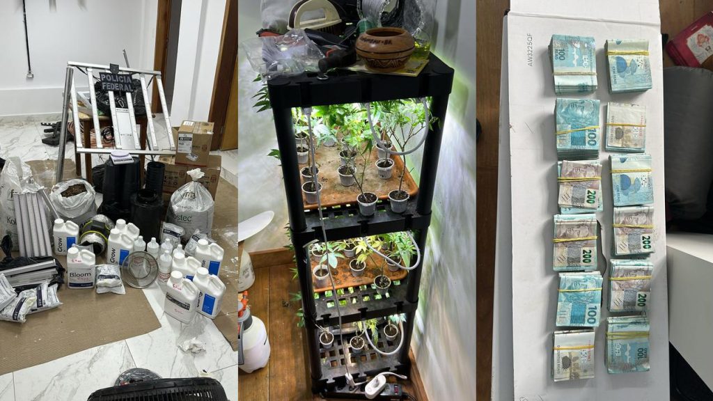 Polícia Federal do Paraná deflagra Operação Estufa