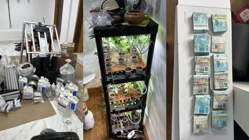 Polícia Federal do Paraná deflagra Operação Estufa