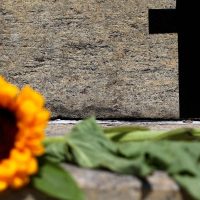 Imagem referente a 2025 já é o ano com maior número de feminicídios na capital paulista