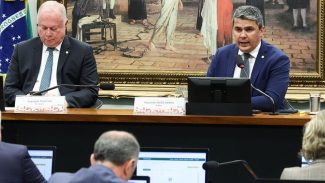 Pedido de vista adia votação de parecer sobre mandato de Zambelli