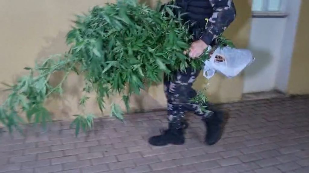 Árvore de natal confiscada! Choque estoura ponto de tráfico de drogas e detém suspeito no Santa Cruz