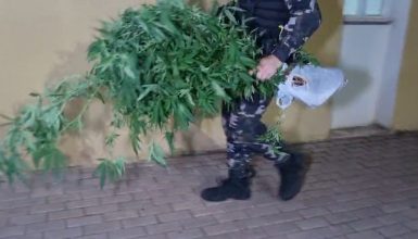 Imagem referente a Árvore de natal confiscada! Choque estoura ponto de tráfico de drogas e detém suspeito no Santa Cruz