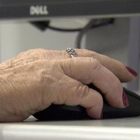 Com 8,3 milhões de trabalhadores, idosos têm nível de ocupação recorde Imagem referente a Com 8,3 milhões de trabalhadores, idosos têm nível de ocupação recorde