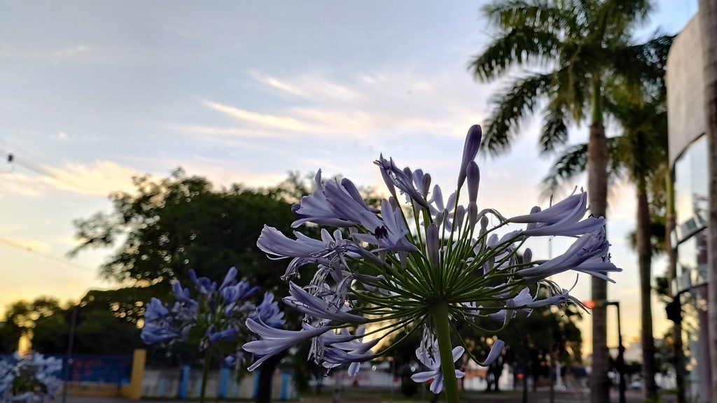 Céu limpo e vento apimentado em Cascavel nesta quarta