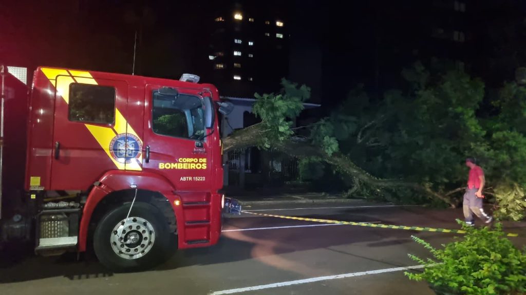 Árvore de grande porte cai em via pública no Centro de Cascavel e deixa imóvel sem luz