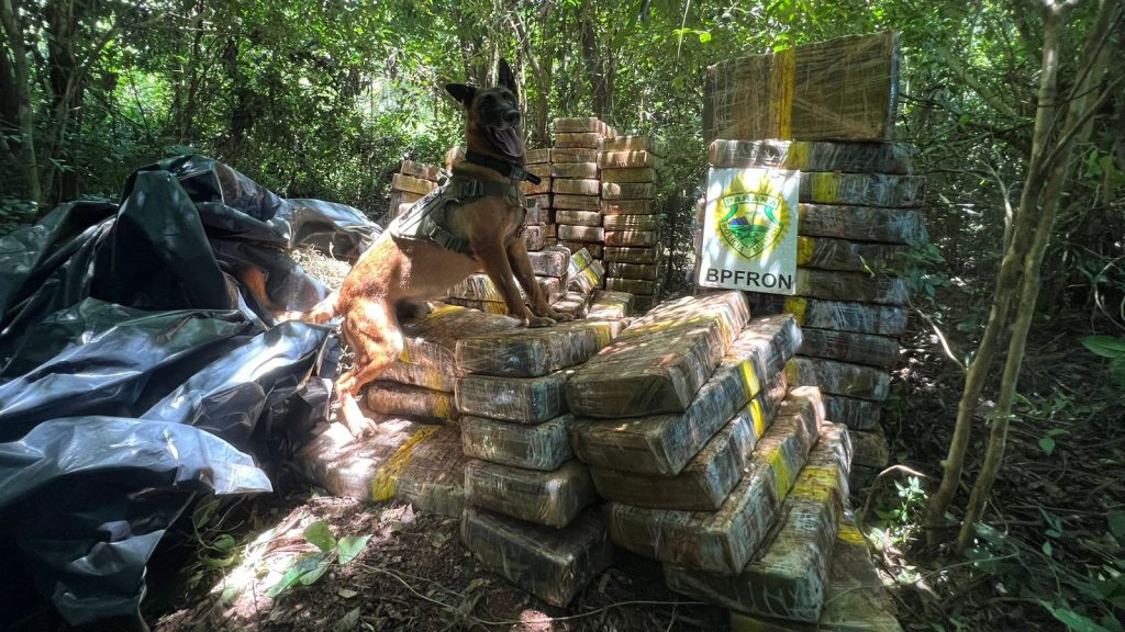 BPFron localiza 1,5 tonelada de maconha escondida em mata em Santa Helena