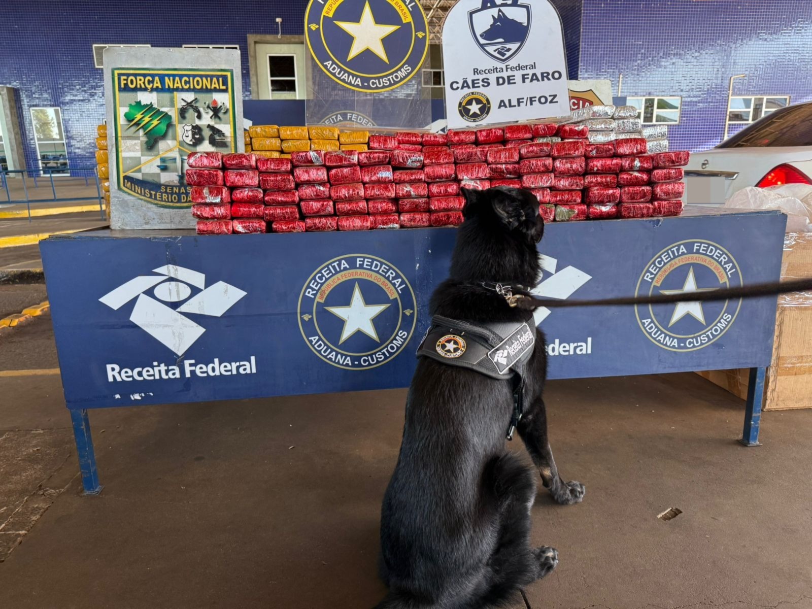 Receita Federal apreende 167 kg de substância análoga à maconha na Ponte Internacional da Amizade Receita Federal apreende 167 kg de substância análoga à maconha na Ponte Internacional da Amizade