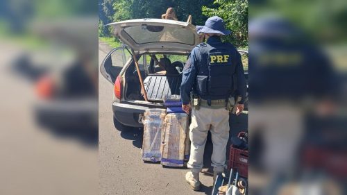 Fiscalização apreende mais de 40 kg de maconha na PR-280, em Vitorino Imagem referente a Fiscalização apreende mais de 40 kg de maconha na PR-280, em Vitorino