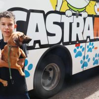 Imagem referente a Castramóvel leva atendimento gratuito ao Reassentamento São Francisco e reforça política pública de bem-estar animal