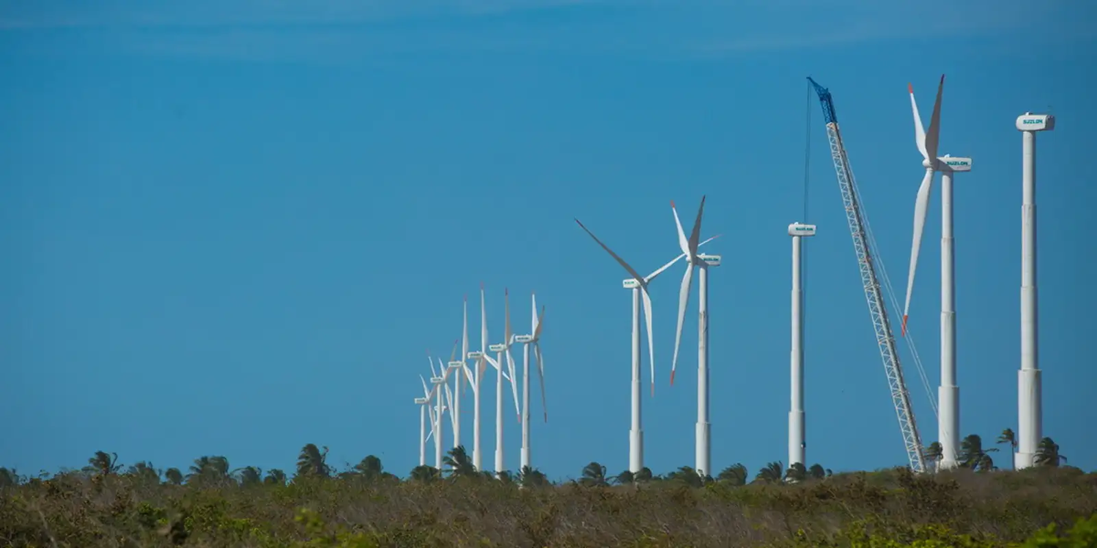 Instituto criará centro especializado em energia renovável no oceano Instituto criará centro especializado em energia renovável no oceano