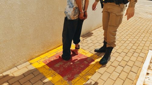 Imagem referente a Homem descumpre medida protetiva contra irmã, foge para o mato, é caçado e preso pelo Choque Canil