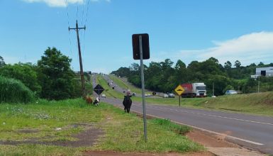 Imagem referente a Bovinos soltos às margens da BR-277 preocupam moradores no Bairro Cascavel Velho