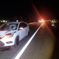 Identificado homem que morreu atropelado na BR-277, em Cascavel Imagem referente a Identificado homem que morreu atropelado na BR-277, em Cascavel