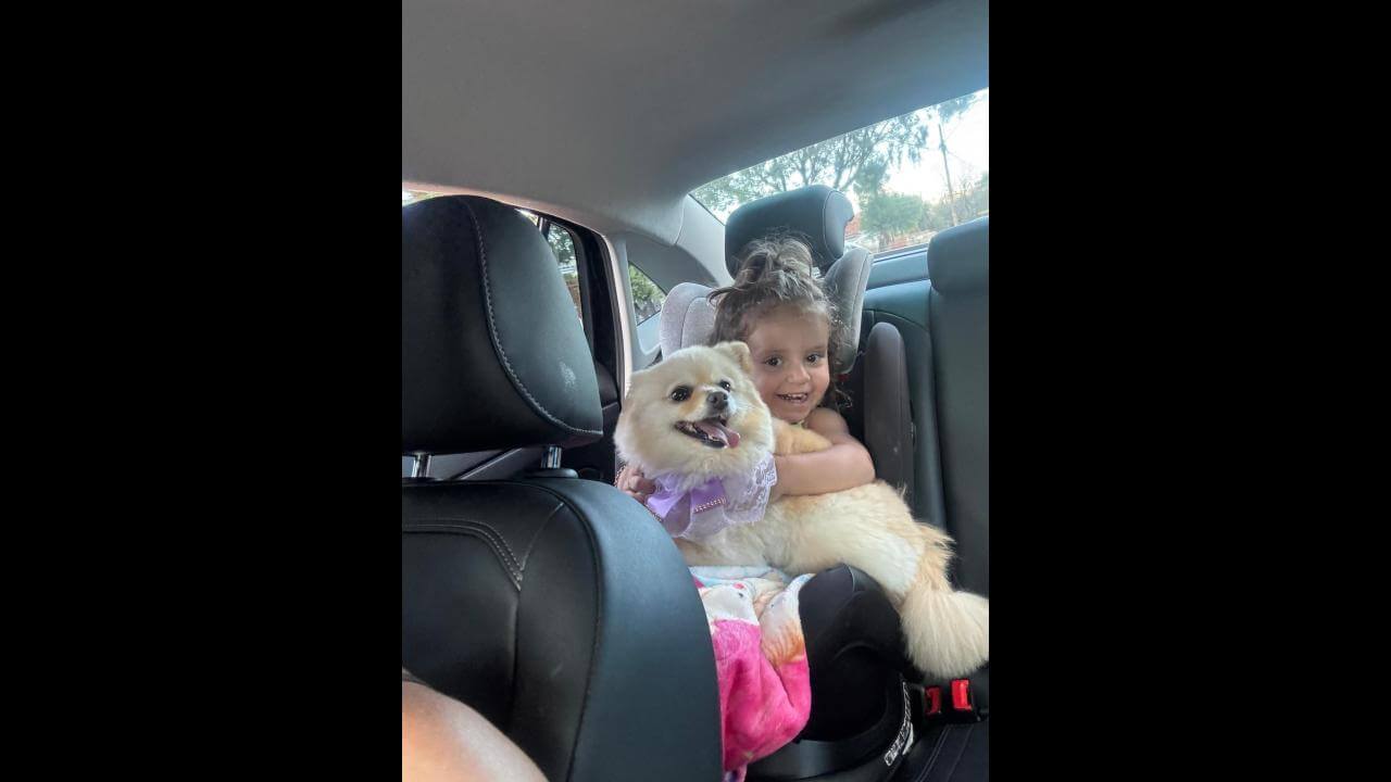 Cachorra Jade desapareceu no bairro Cascavel Velho