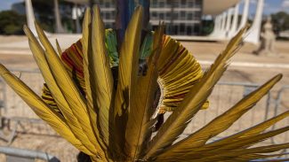 STF volta a julgar marco temporal na próxima quarta-feira