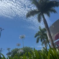 Tarde de sol e noite com chance de tempestade: veja a previsão para este domingo (7) em Cascavel Imagem referente a Tarde de sol e noite com chance de tempestade: veja a previsão para este domingo (7) em Cascavel