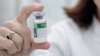 Anvisa publica registro da vacina contra a dengue do Butantan Anvisa publica registro da vacina contra a dengue do Butantan