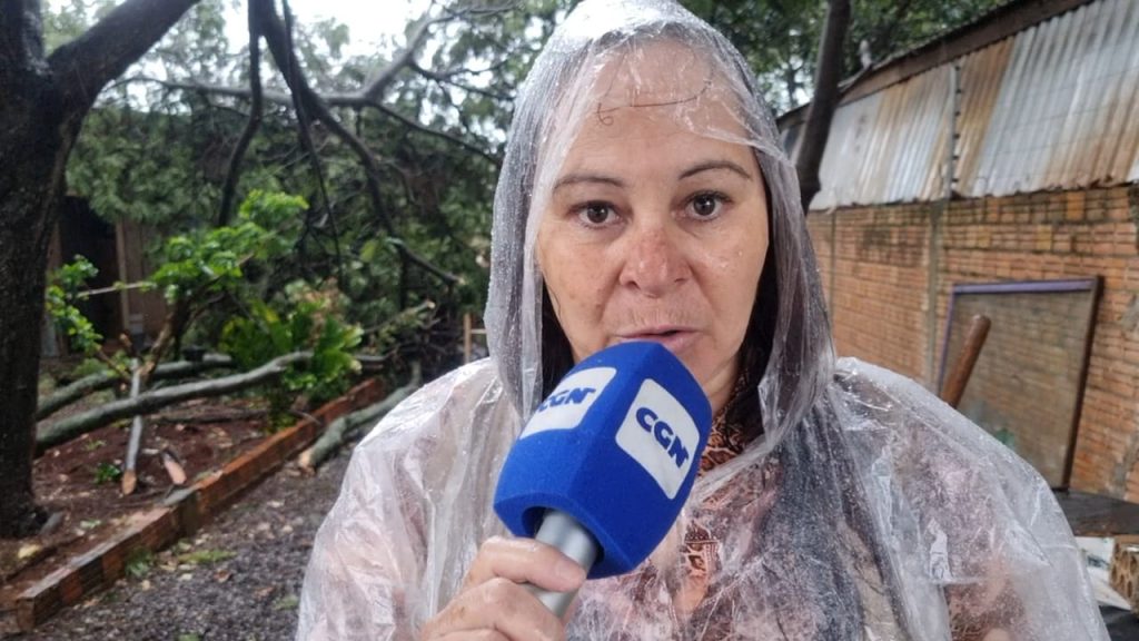 “Mais três galhos estão para cair a qualquer momento e podem pegar a rua inteira”, diz moradora de casa atingida no Santa Cruz