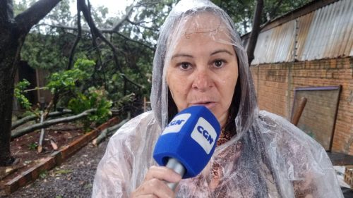 “Mais três galhos estão para cair a qualquer momento e podem pegar a rua inteira”, diz moradora de casa atingida no Santa Cruz “Mais três galhos estão para cair a qualquer momento e podem pegar a rua inteira”, diz moradora de casa atingida no Santa Cruz