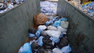 Produção de resíduos cresce em 2024; destinação adequada melhora