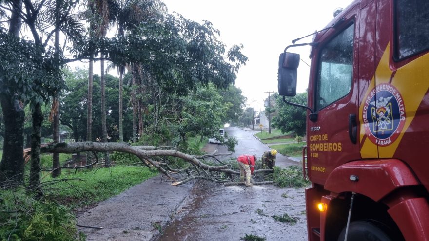 Temporal: Árvore ‘racha’ no Bairro Periolo e Bombeiros são acionados para desobstruir via