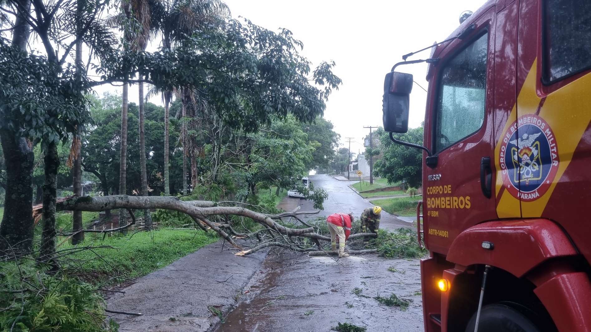 Temporal: Árvore 'racha' no Bairro Periolo e Bombeiros são acionados para desobstruir via Temporal: Árvore 'racha' no Bairro Periolo e Bombeiros são acionados para desobstruir via