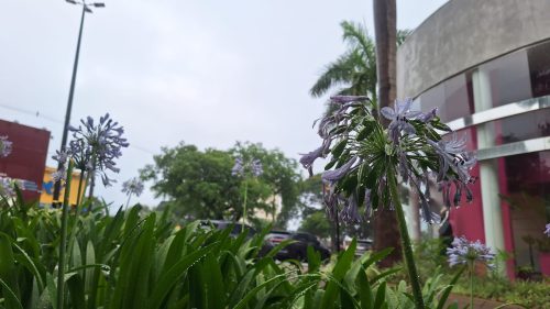 Chuva acumulada de 60,2 mm e ventos de 51,8 km/h são registrados em Cascavel Chuva acumulada de 60,2 mm e ventos de 51,8 km/h são registrados em Cascavel