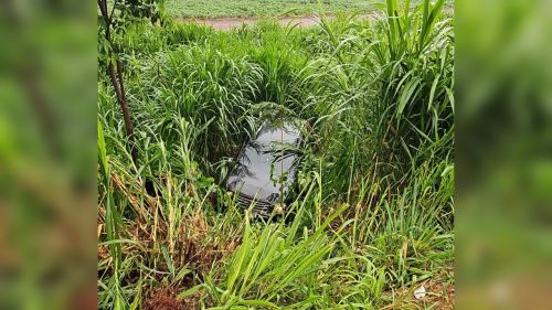 Perseguição na BR-277 termina em tiroteio e suspeito morto na chuva Imagem referente a Perseguição na BR-277 termina em tiroteio e suspeito morto na chuva