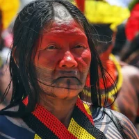 Terras indígenas: Senado aprova PEC do Marco Temporal Imagem referente a Terras indígenas: Senado aprova PEC do Marco Temporal